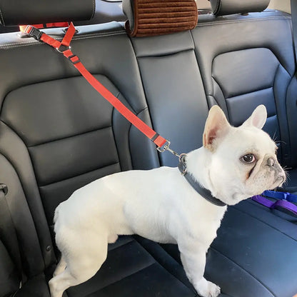 Nylon Dog Seatbelts