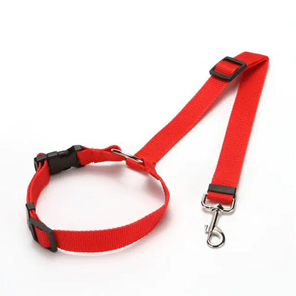 Nylon Dog Seatbelts